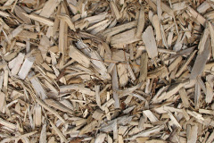 biomass boilers Redgorton